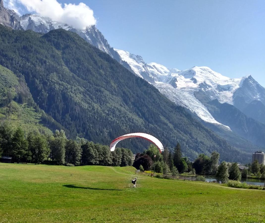 Happy Moose - Cosy Mont Blanc View Appartamento Chamonix