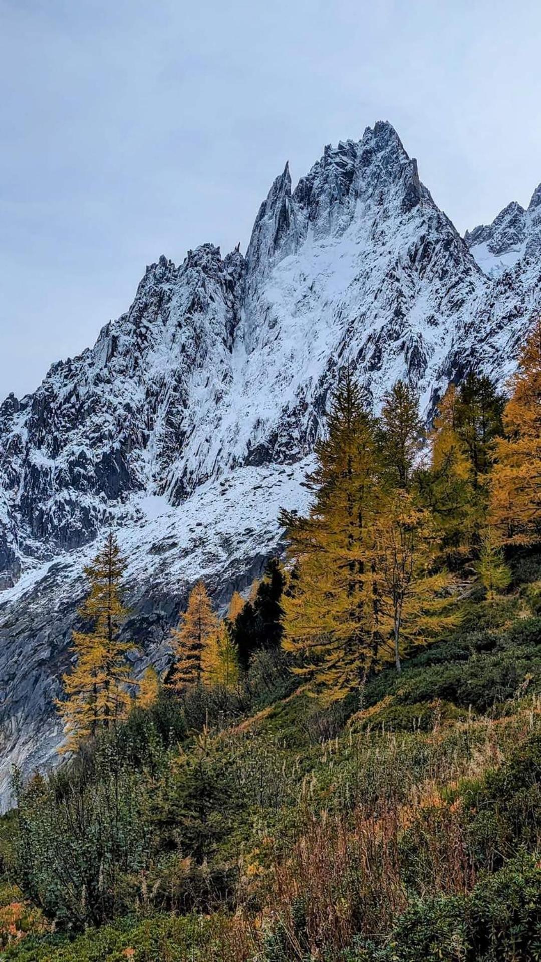 Happy Moose - Cosy Mont Blanc View Appartamento *