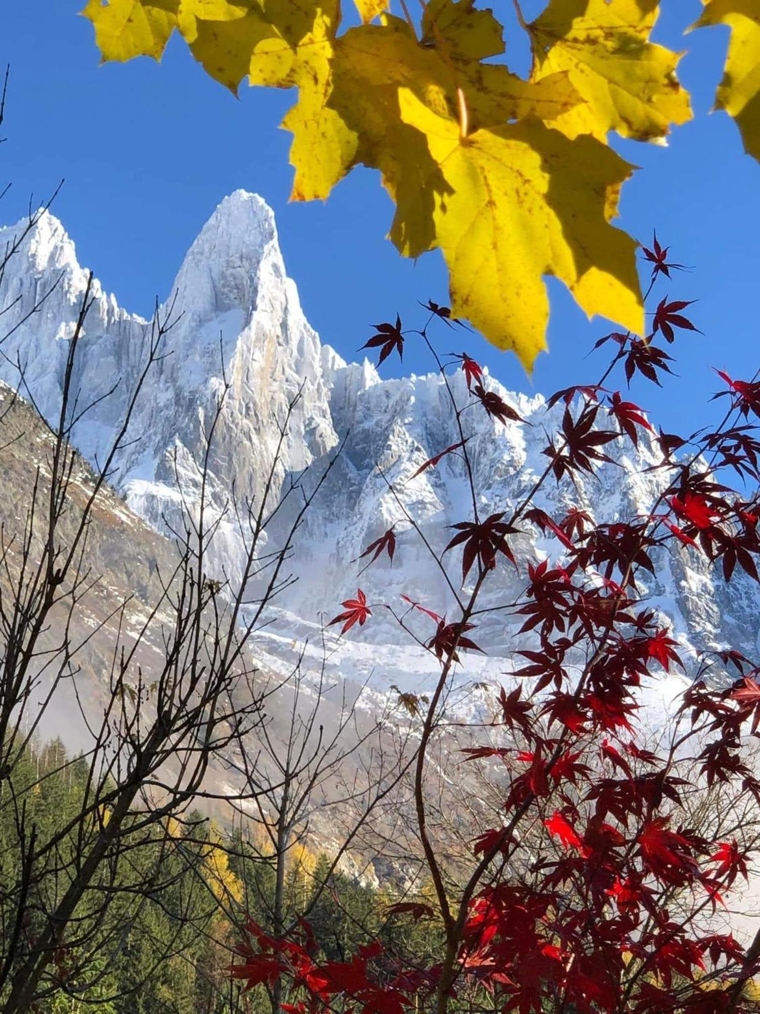 Appartamento Happy Moose - Cosy Mont Blanc View *
